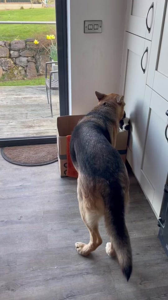 Post 8 by Paul Gash on TikTok (video)