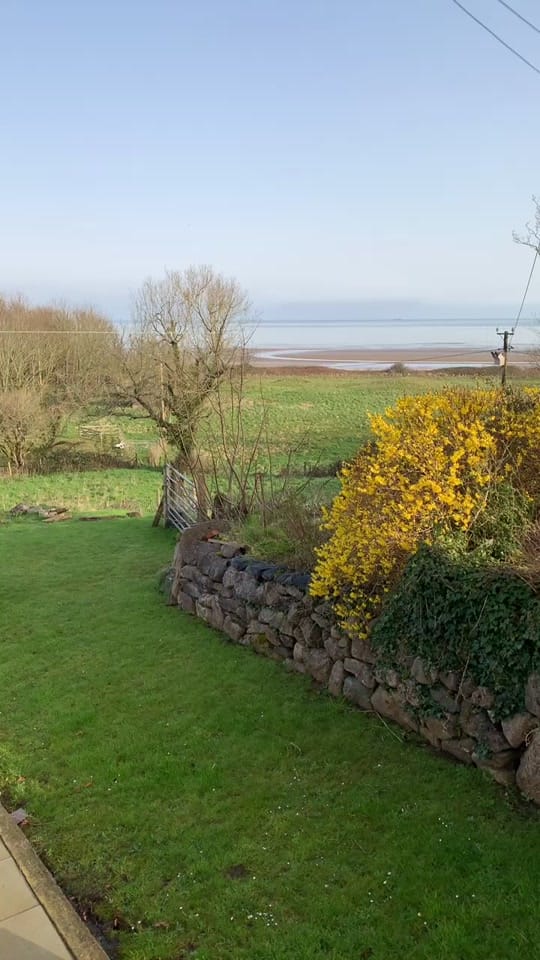 Post 9 by Paul Gash on TikTok (video)