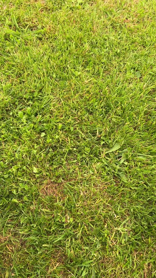 Post 2 by Paul Gash on TikTok (video)