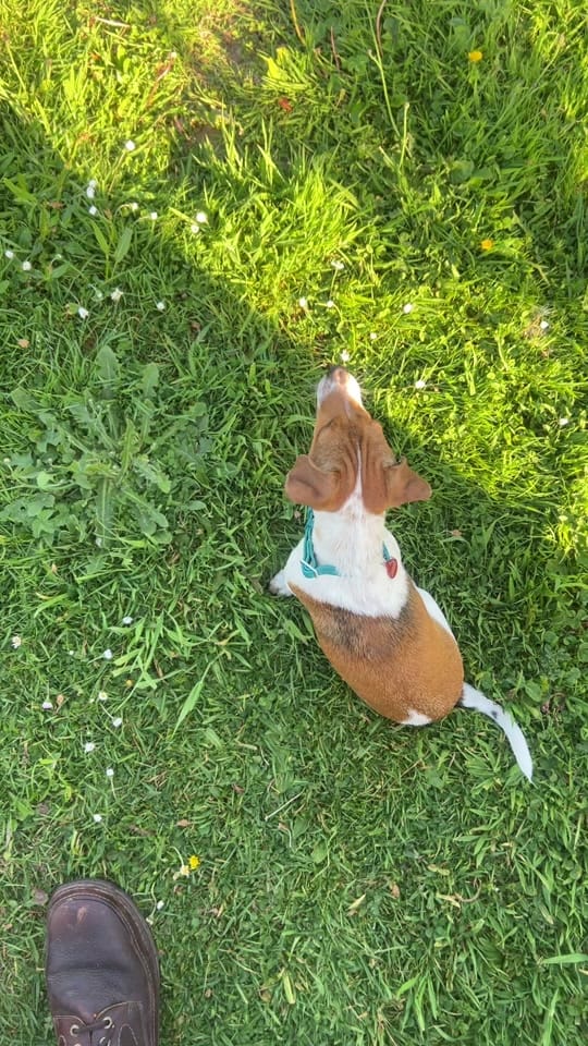 Post 7 by Paul Gash on TikTok (video)