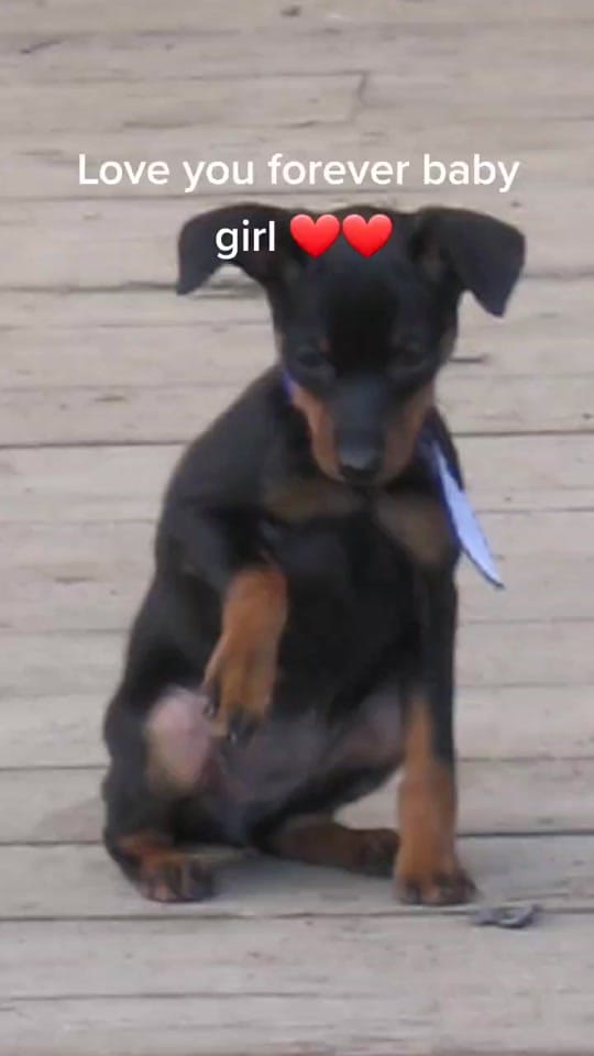 Post 2 by Angel Stewart on TikTok (video)