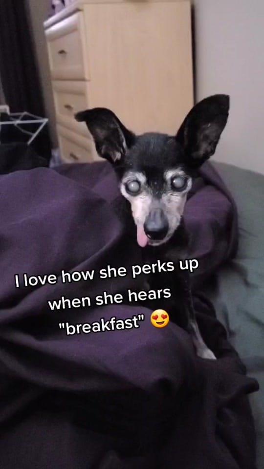Post 7 by Angel Stewart on TikTok (video)