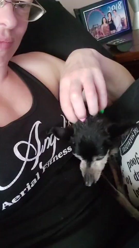 Post 6 by Angel Stewart on TikTok (video)