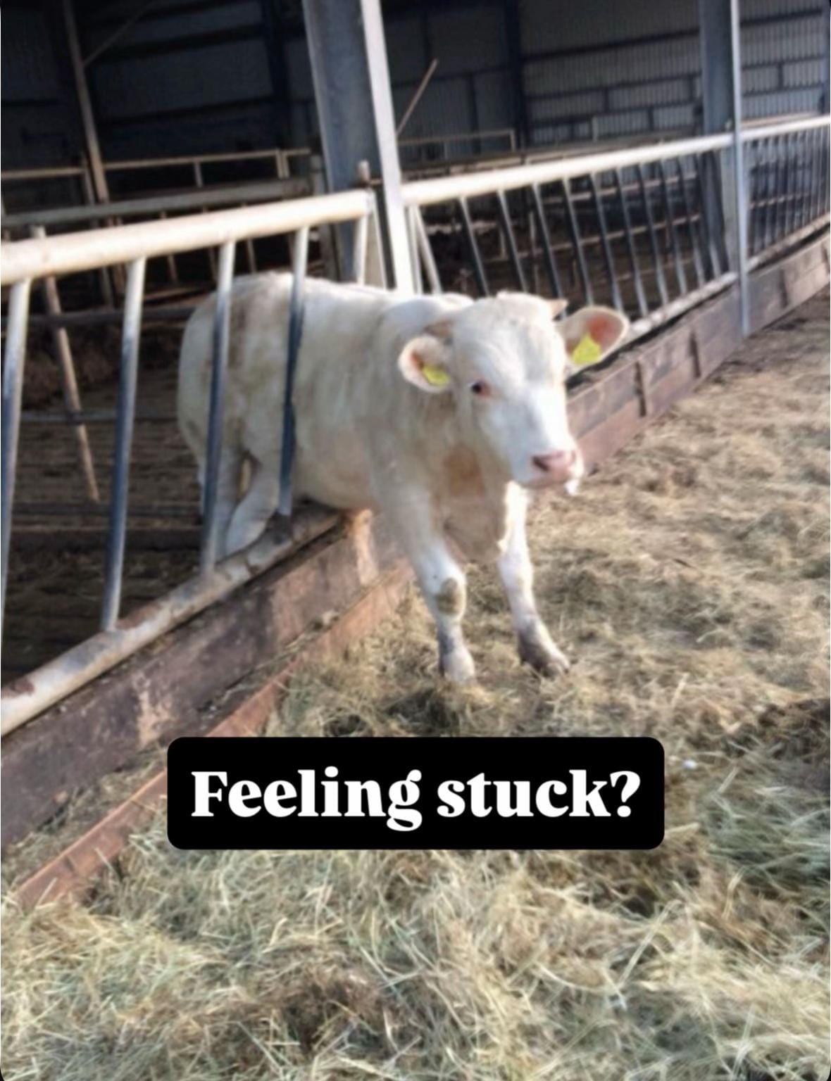 Post 4 by mragscience on TikTok (video)