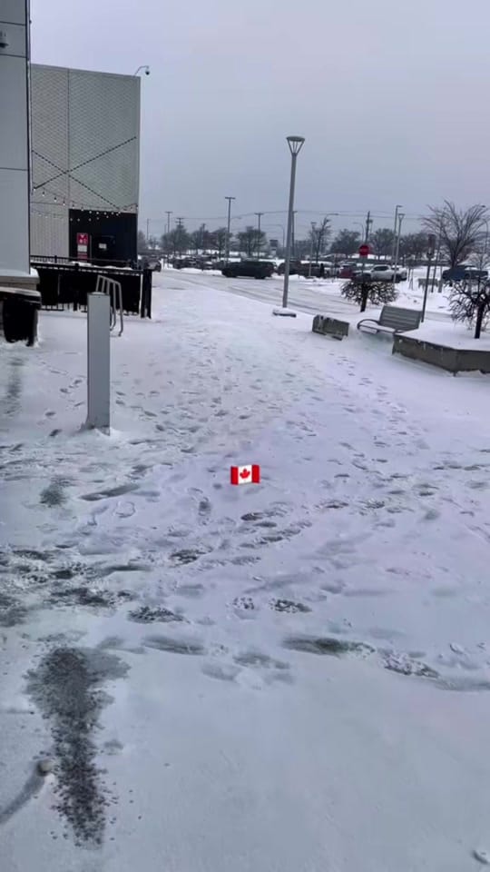 Post 7 by Coumbish | MTL on TikTok (video)