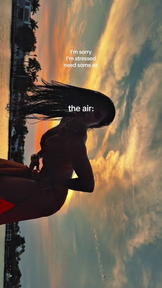 Post 4 by IzzyLaReina on TikTok (video)
