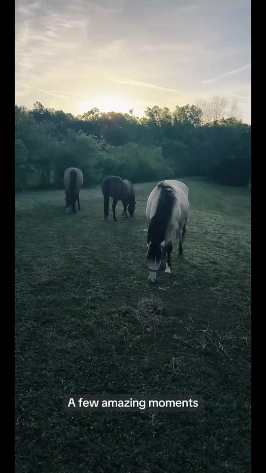 Post 5 by Jeremy Michael Music on TikTok (video)