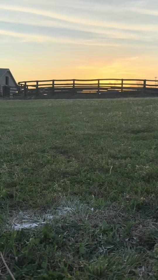 Post 7 by Jeremy Michael Music on TikTok (video)