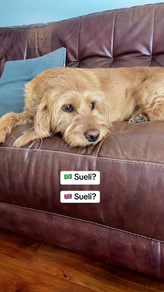 Post 1 by Fun With Brazilian Portuguese on TikTok (video)