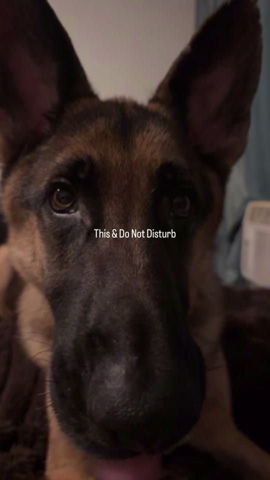 Post 7 by Raemiles on TikTok (video)