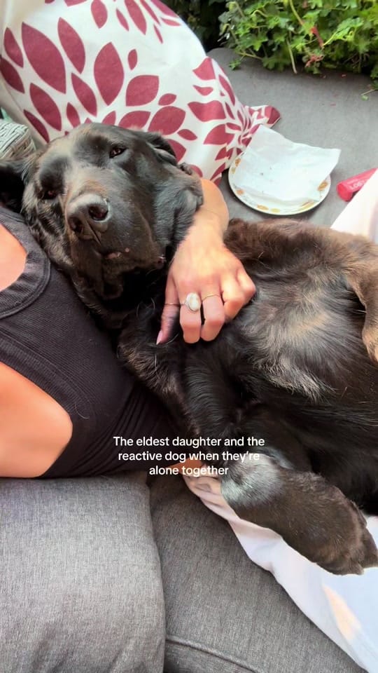 Post 5 by Katherine ✨ on TikTok (video)
