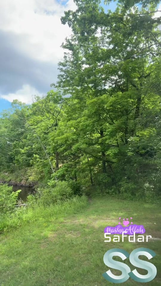 Post 7 by 👑ExpressionKing👑 on TikTok (video)