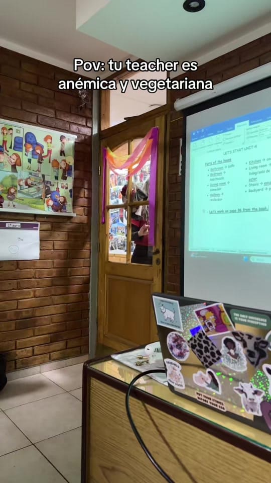 Post 10 by Teacher Lu on TikTok (video)