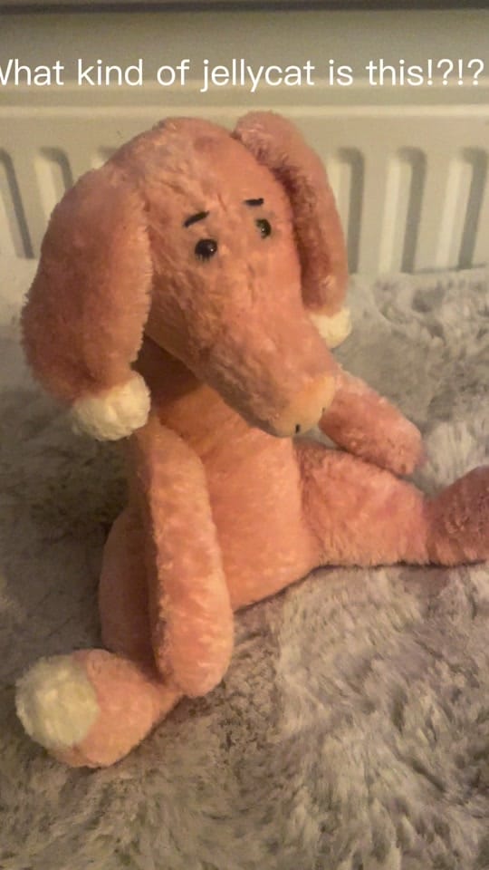 Post 1 by MrsB SEN on TikTok (video)