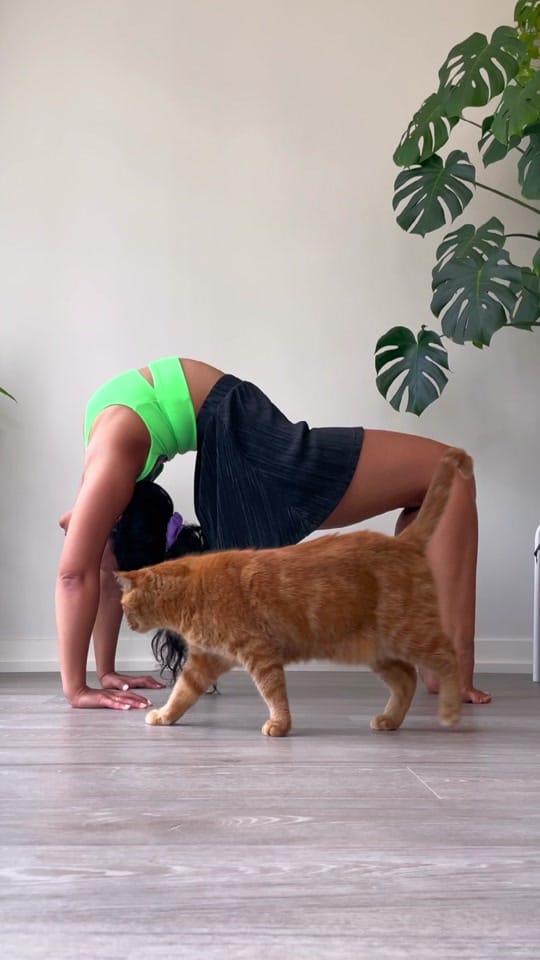 Post 8 by vanessa on TikTok (video)