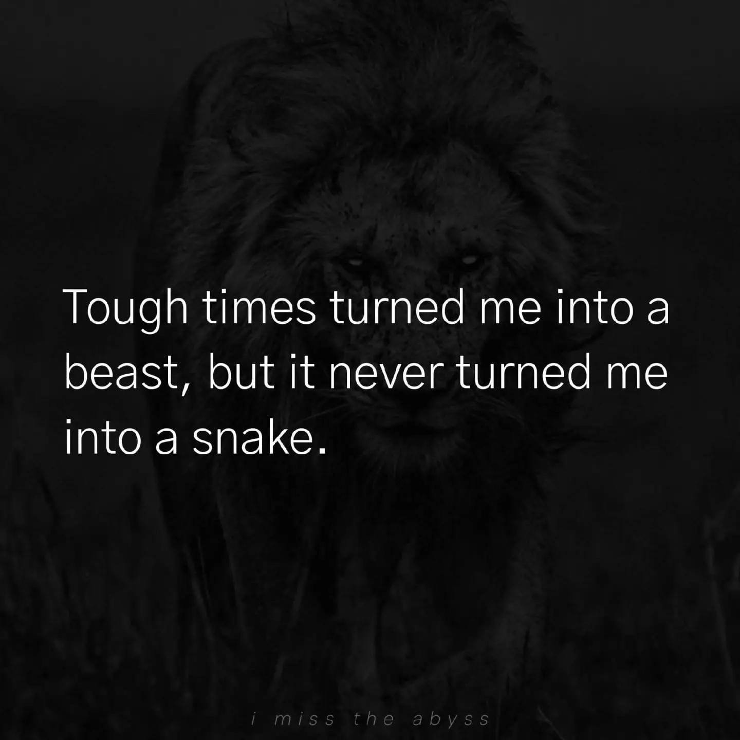 Post 7 by Savage Newf 🇨🇦 on TikTok (video)