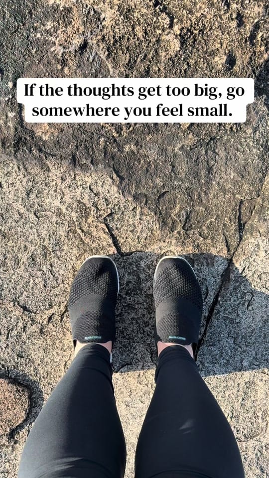 Post 7 by Amanda Dooney on TikTok (video)