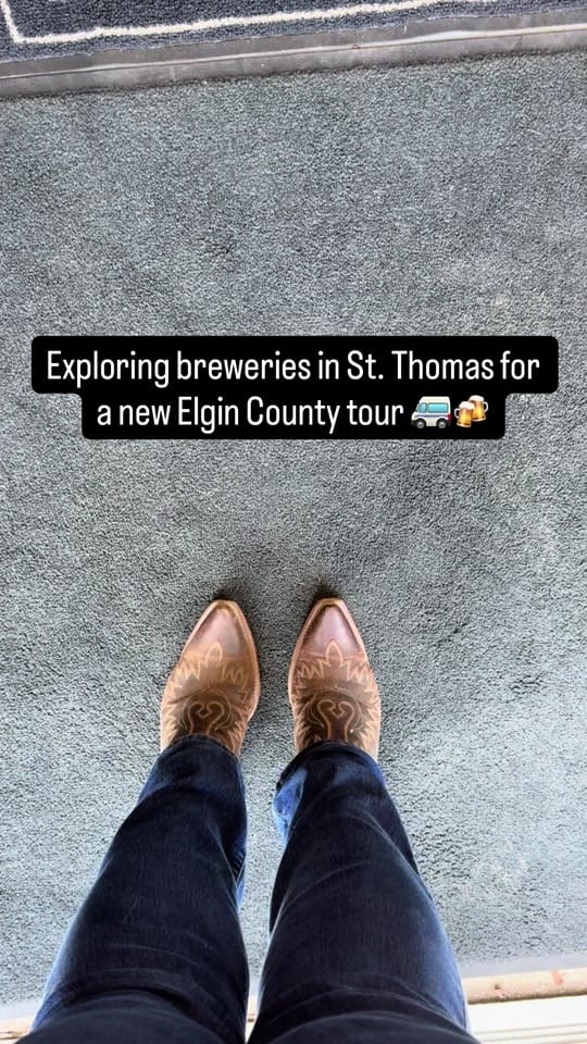 Post 5 by Amanda Dooney on TikTok (video)