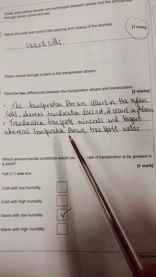 Post 1 by The Science Teacher on TikTok (video)