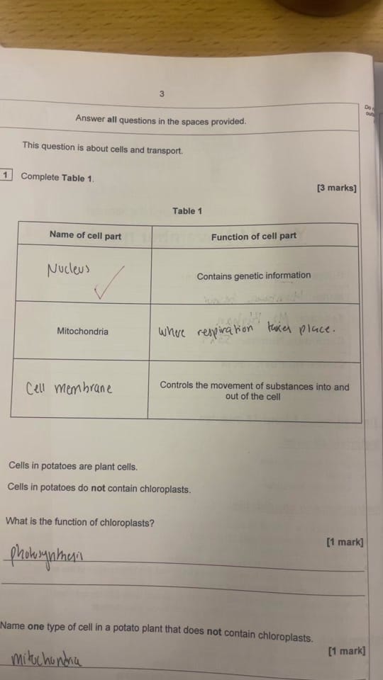 Post 3 by The Science Teacher on TikTok (video)
