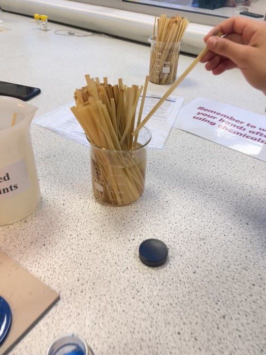 Post 8 by The Science Teacher on TikTok (video)