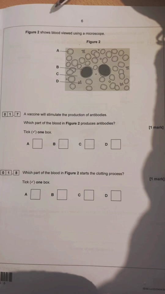 Post 5 by The Science Teacher on TikTok (video)