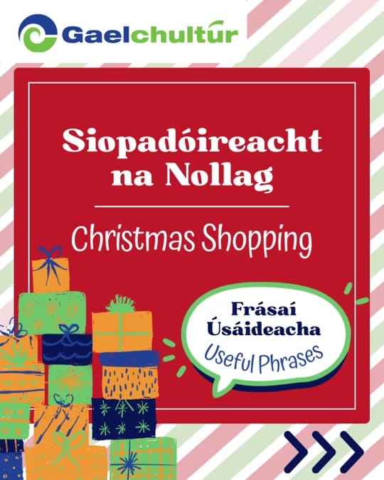 Post 7 by Gaelchultúr on TikTok (video)