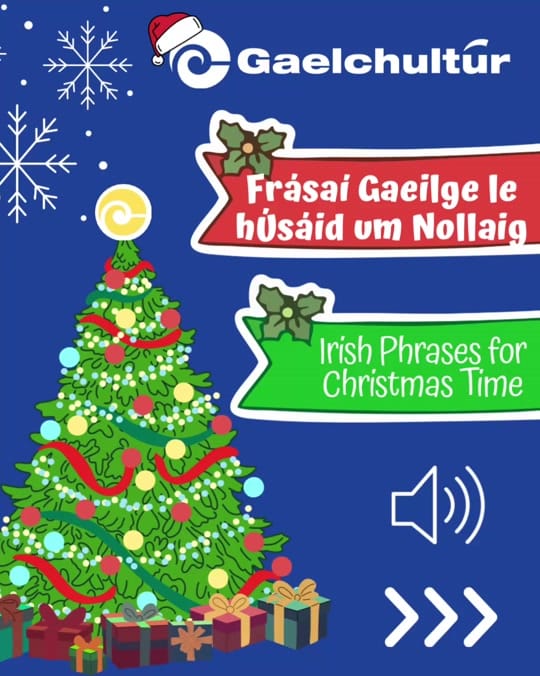 Post 3 by Gaelchultúr on TikTok (video)