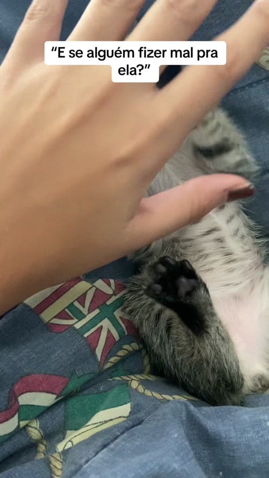 Post 6 by Zeus on TikTok (video)