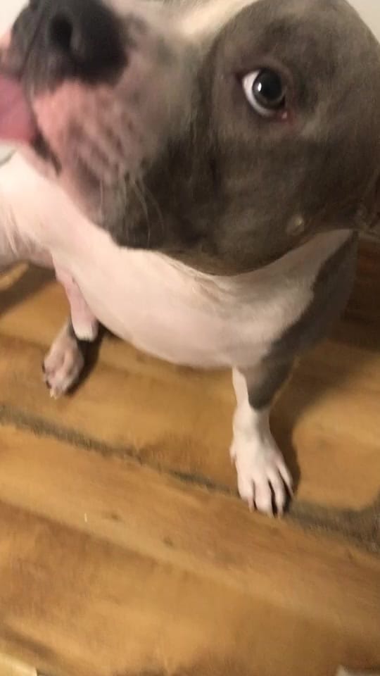 Post 10 by Zeus on TikTok (video)
