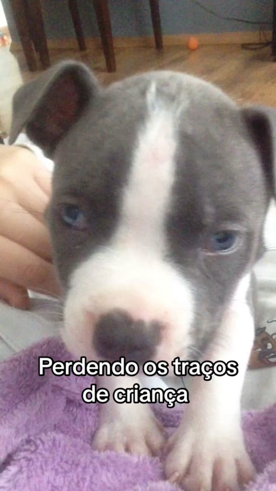 Post 2 by Zeus on TikTok (video)