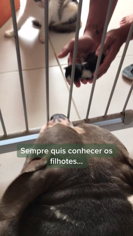 Post 9 by Zeus on TikTok (video)