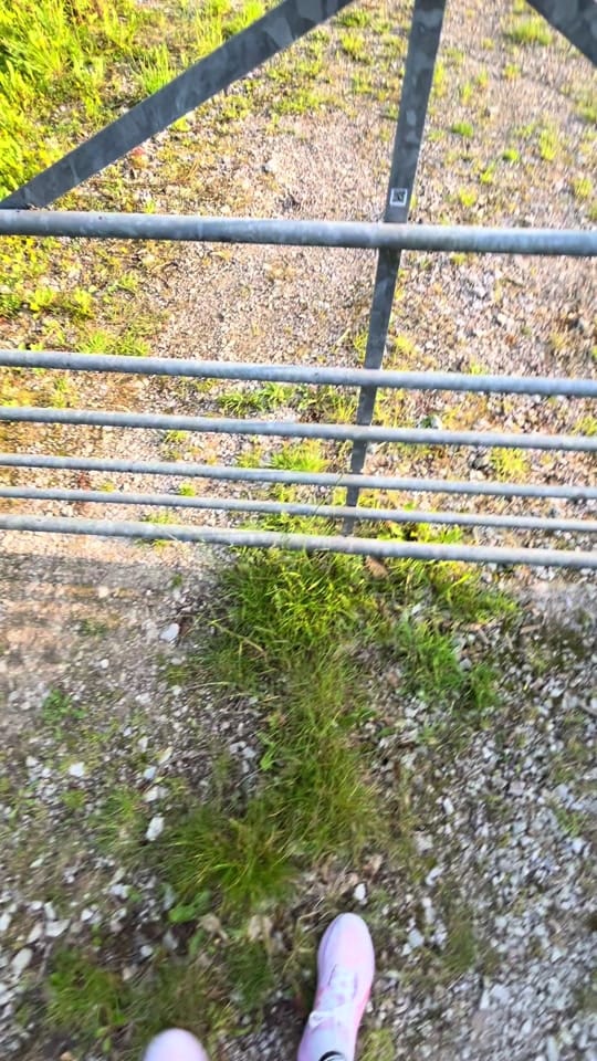 Post 4 by Mrs W on TikTok (video)