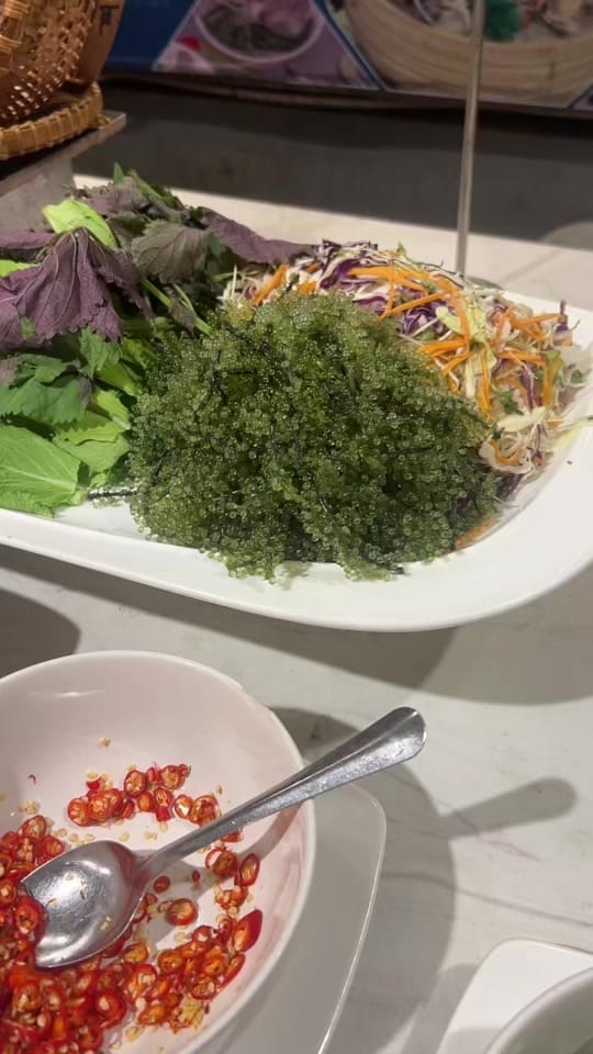 Post 1 by Nhi Vo on TikTok (video)