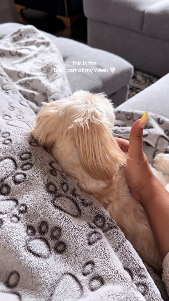 Post 3 by Anjali 🌟 on TikTok (video)