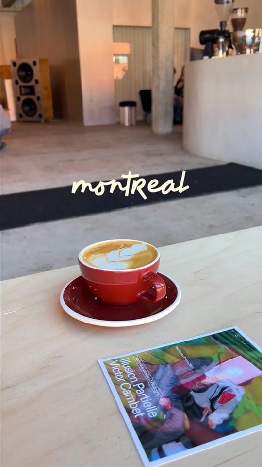 Post 10 by Morgan - Ottawa Exploring on TikTok (video)