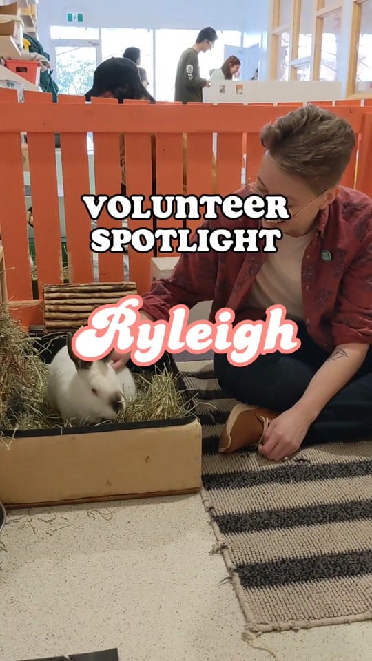 Post 9 by The Bunny Cafe on TikTok (video)