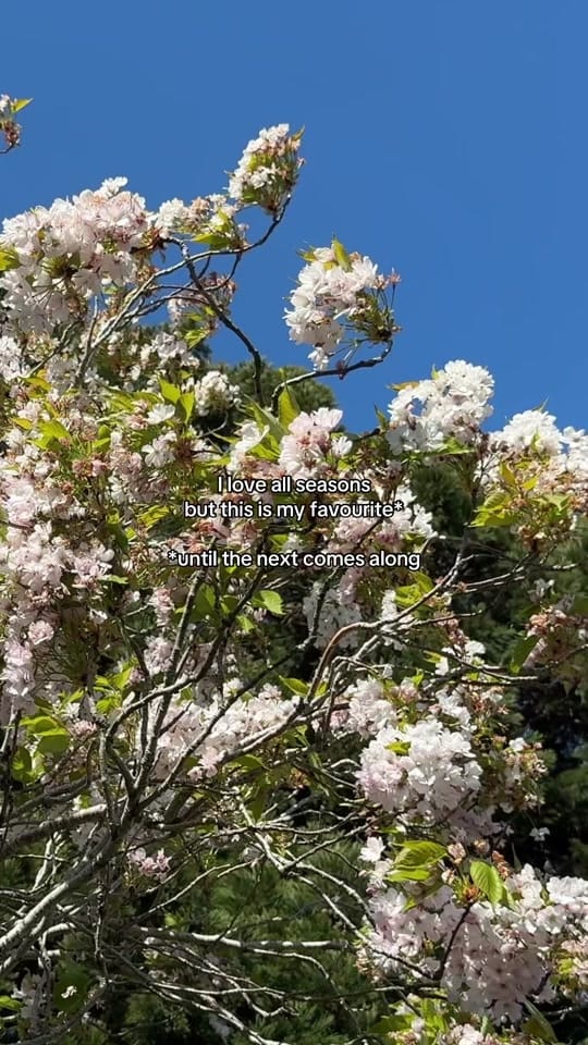 Post 9 by Jane • Slow Living Cotswolds on TikTok (video)