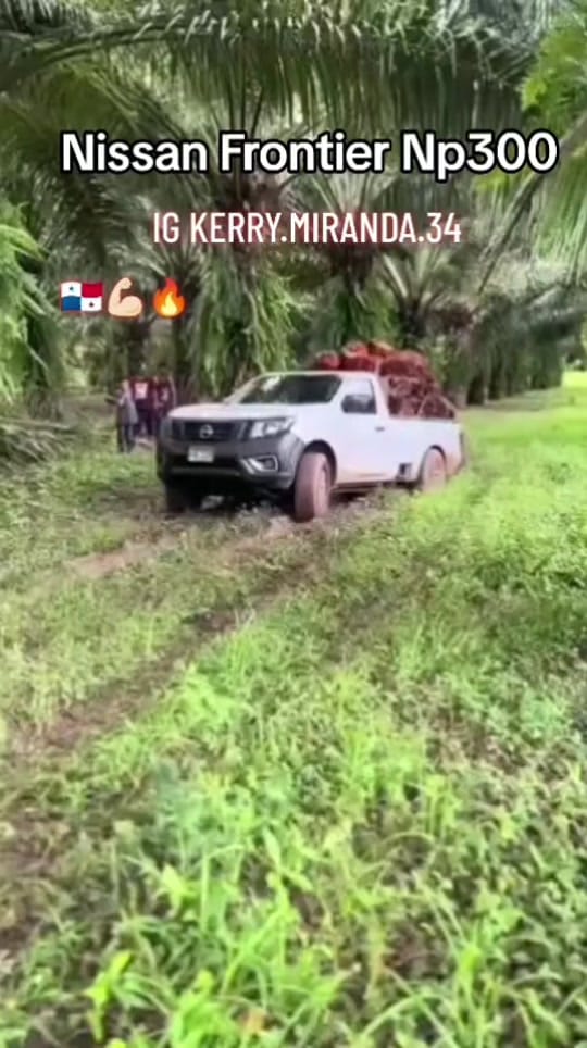 Post 7 by Nissan frontier np300 😎💪🏼🔥 on TikTok (video)