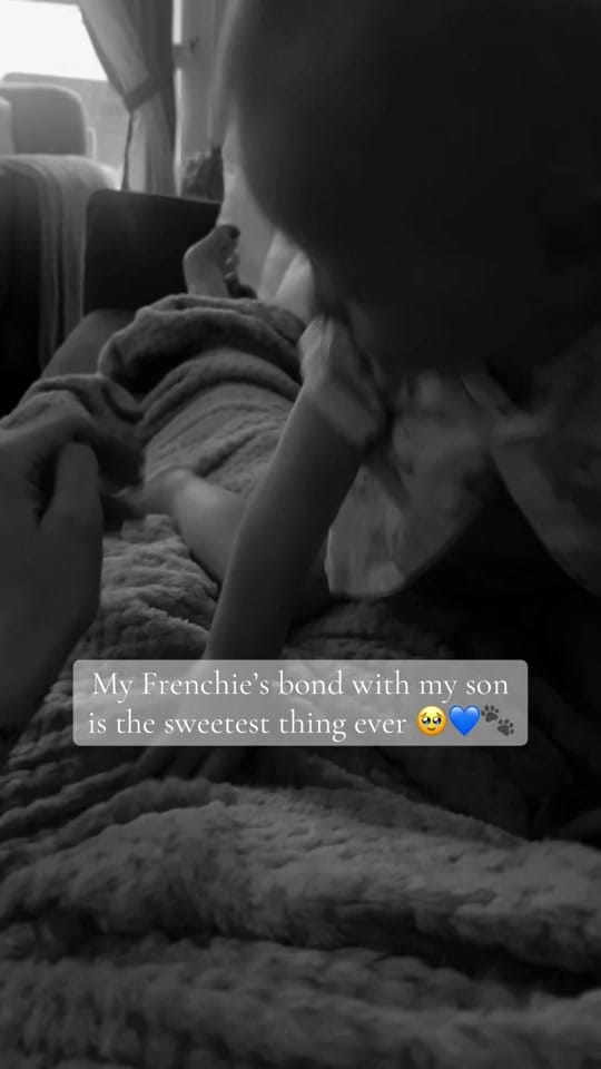 Post 3 by SHAUNA | BOY MAM💫💙🌟 on TikTok (video)