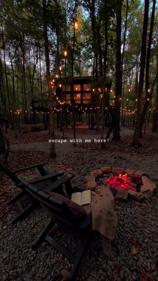 Post 8 by Firefly Treehouses on TikTok (video)