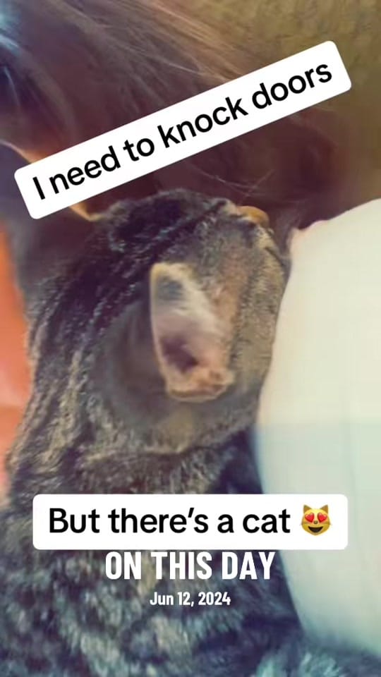 Post 4 by Leslie Jones for Missouri on TikTok (video)