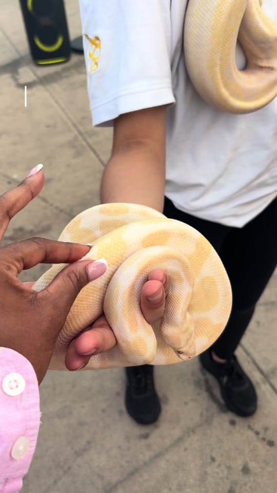 Post 8 by Kimberley Desrosiers on TikTok (video)