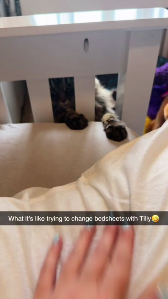 Post 2 by Elisha Mcdowell🖤 on TikTok (video)