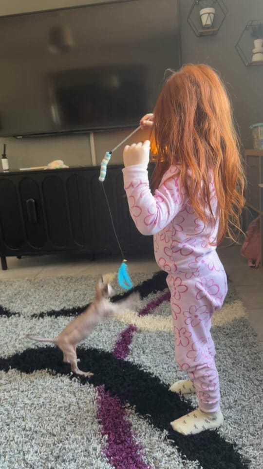Post 5 by Elisha Mcdowell🖤 on TikTok (video)