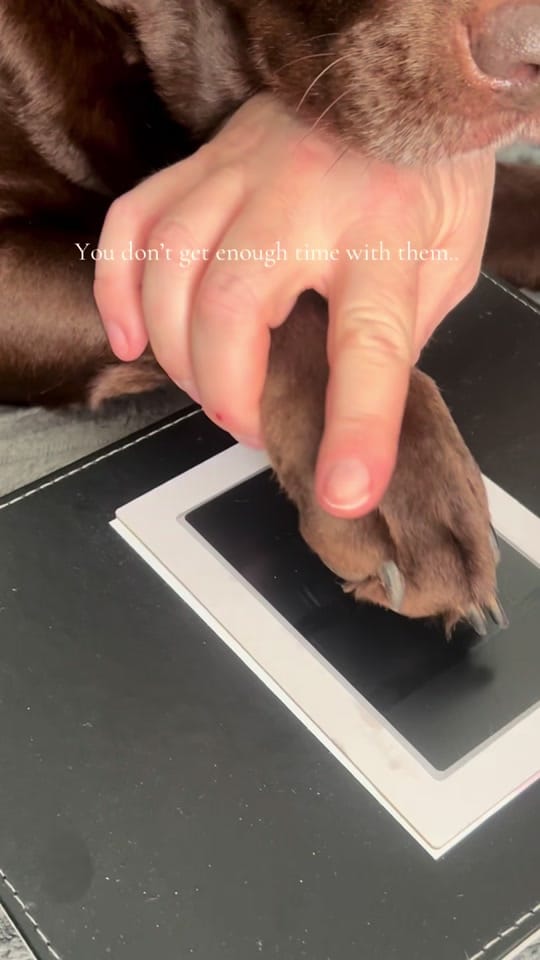 Post 4 by More Than Foil on TikTok (video)