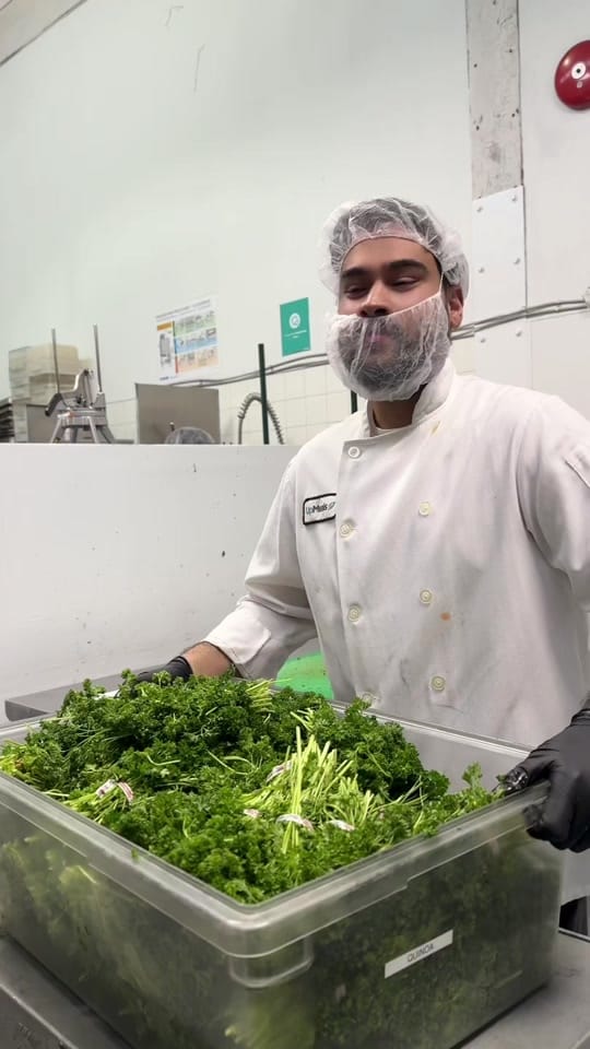 Post 7 by UpMeals on TikTok (video)