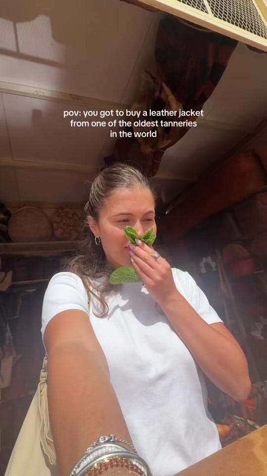 Post 8 by Erin Trout on TikTok (video)