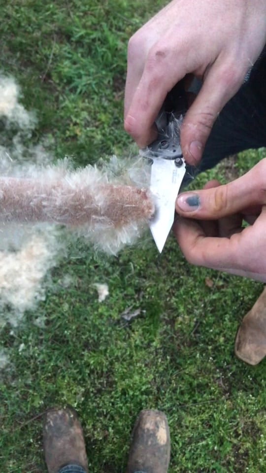 Post 4 by Braden.Strahler on TikTok (video)