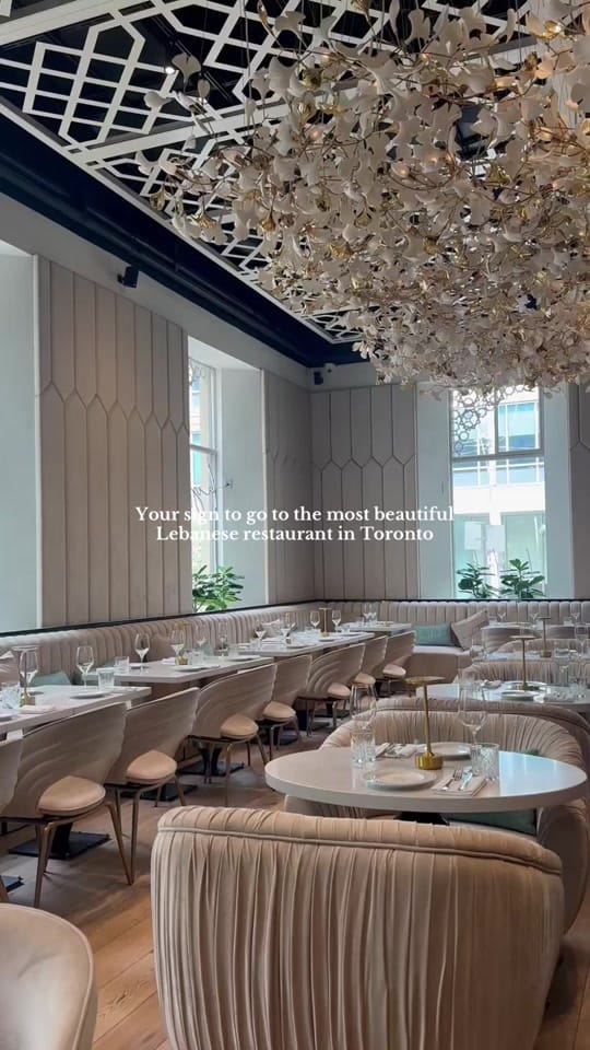 Post 7 by Brokefoodie on TikTok (video)
